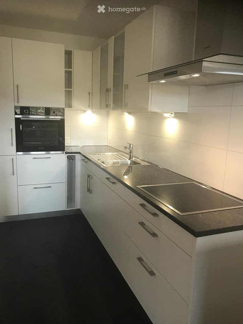 Modern kitchen with white cabinets, black countertops, stainless steel appliances, built-in oven, dishwasher, and sink.