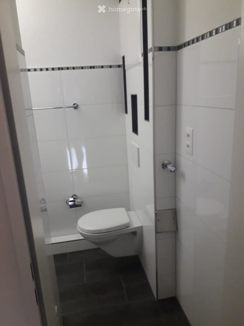 Modern, compact bathroom with white tiles, a toilet, and a glass-enclosed shower area.