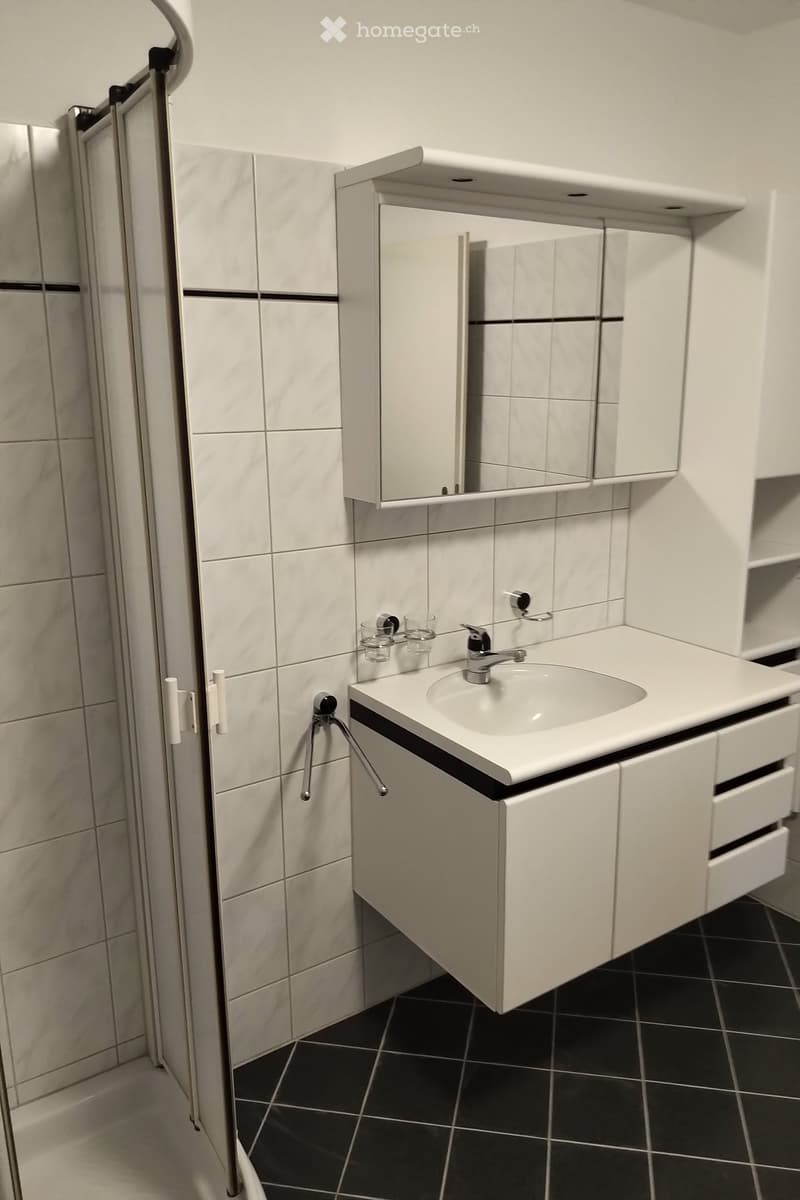 Modern bathroom with white tiles, a white sink with a chrome faucet, a mirrored cabinet, and black tiled flooring.