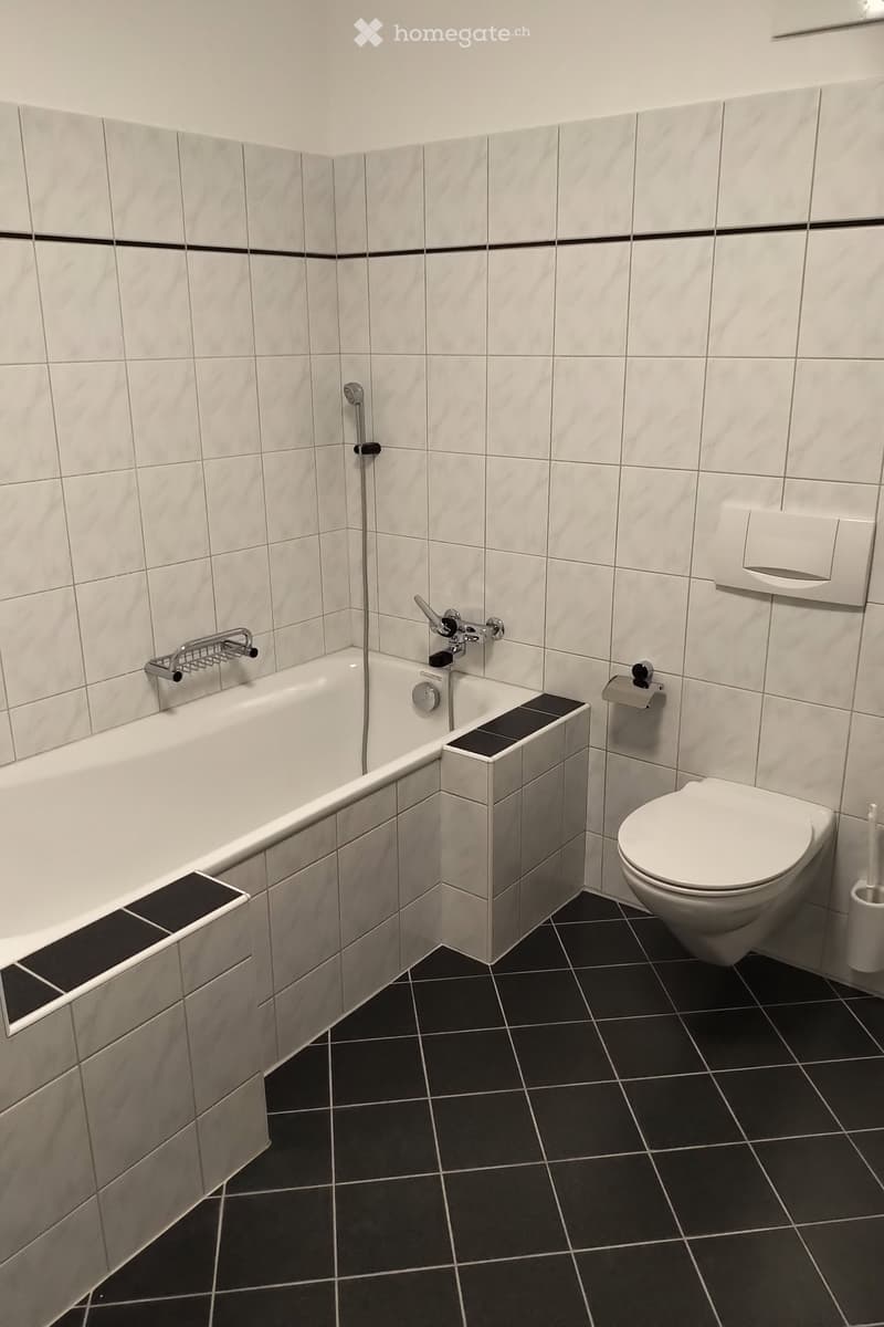 Modern bathroom with white tiles, black floor tiles, bathtub, toilet, and built-in storage cabinets.