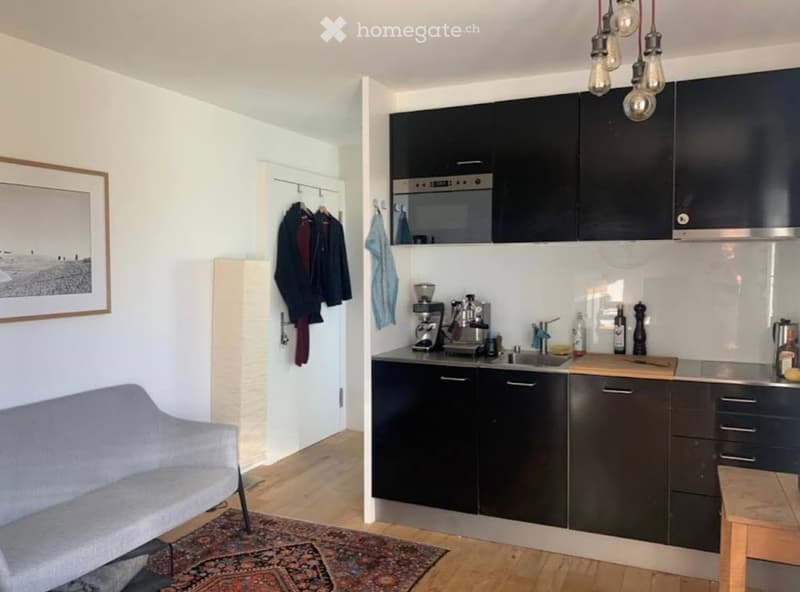 Modern kitchen and living area with dark cabinets, stainless steel appliances, a sofa, and a coat rack with jackets.