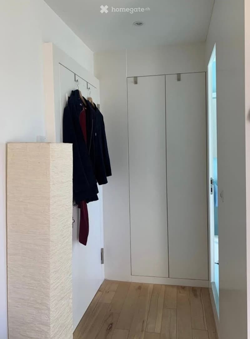 Modern hallway with light wooden flooring, white walls, built-in closet, and coat rack holding jackets.