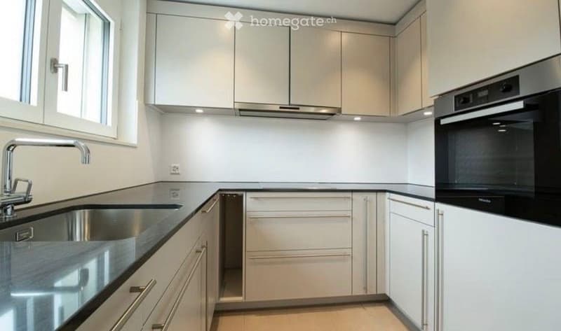 Modern kitchen with white cabinets, stainless steel sink, faucet, and built-in oven. Features a range hood and ample storage space.