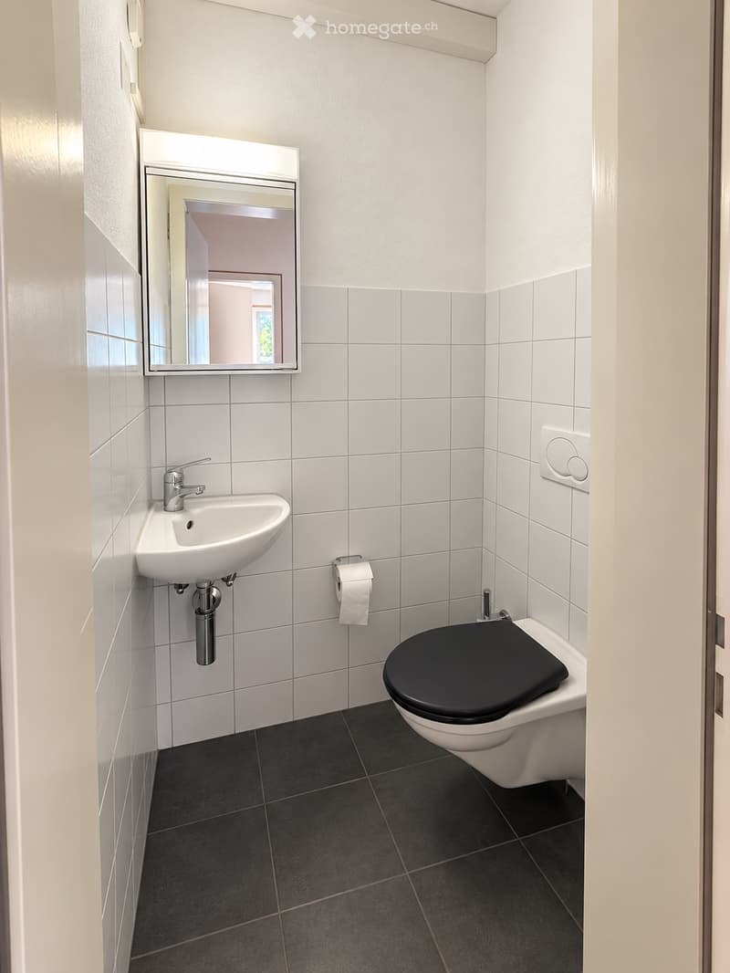 Modern bathroom with white tiled walls, dark grey tiled floor, white sink with chrome faucet, toilet with black seat, and a wall-mounted mirror above the sink.