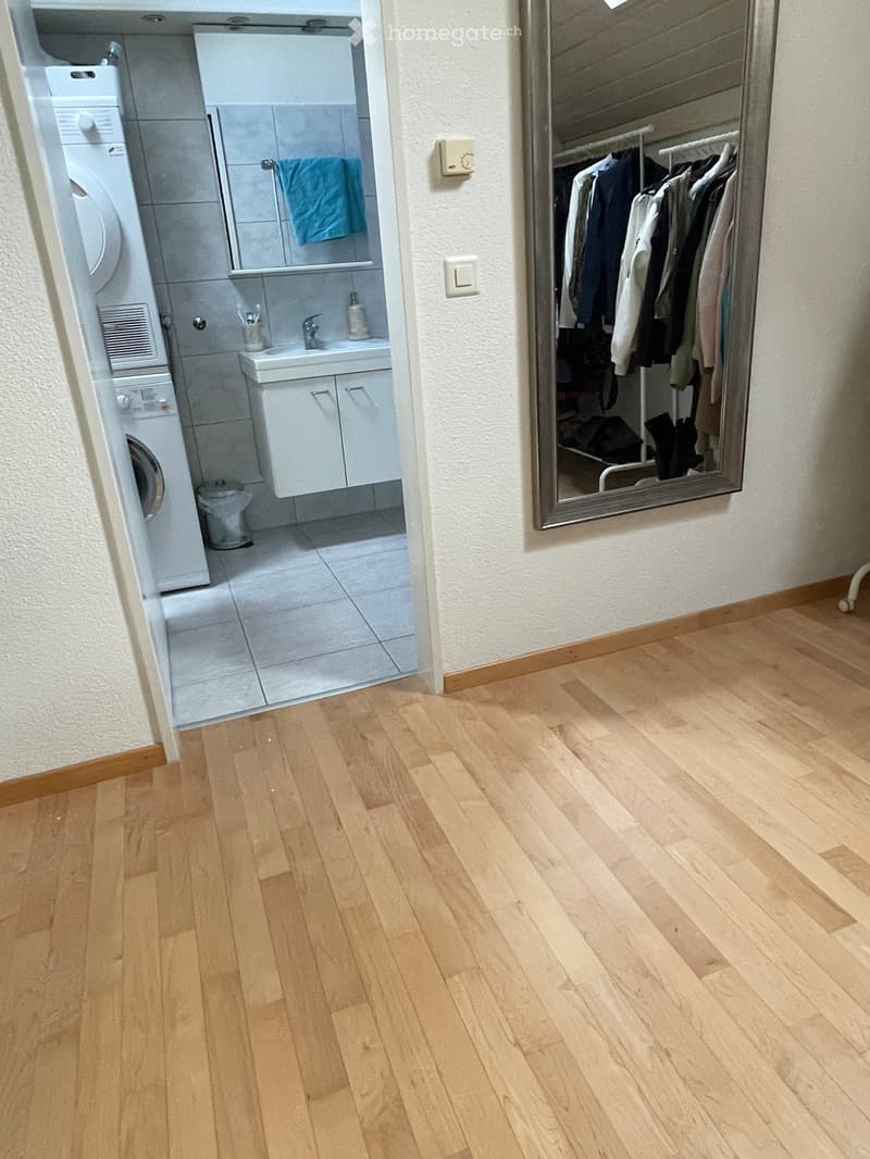 A well-lit hallway with wooden flooring, a large mirror on the wall, and a wardrobe with hanging clothes. A small bathroom is visible in the background, featuring a sink, toilet, and washing machine.