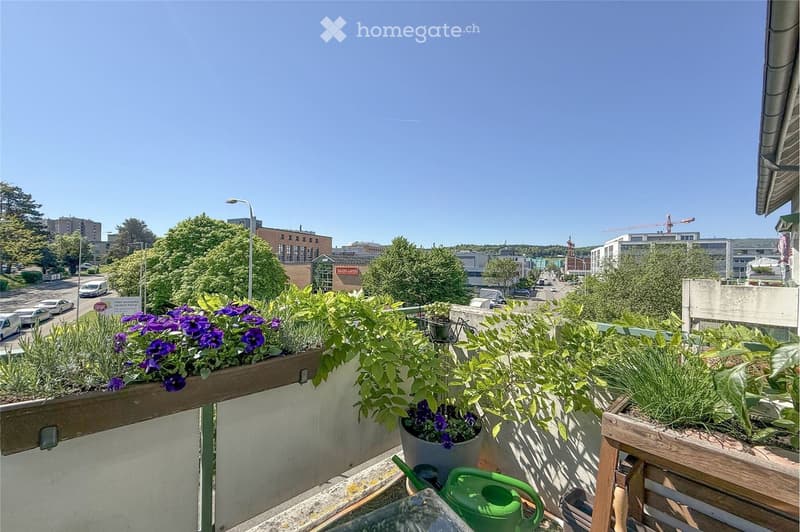Balcony with various potted plants, including purple flowers, and a green watering can on the floor.