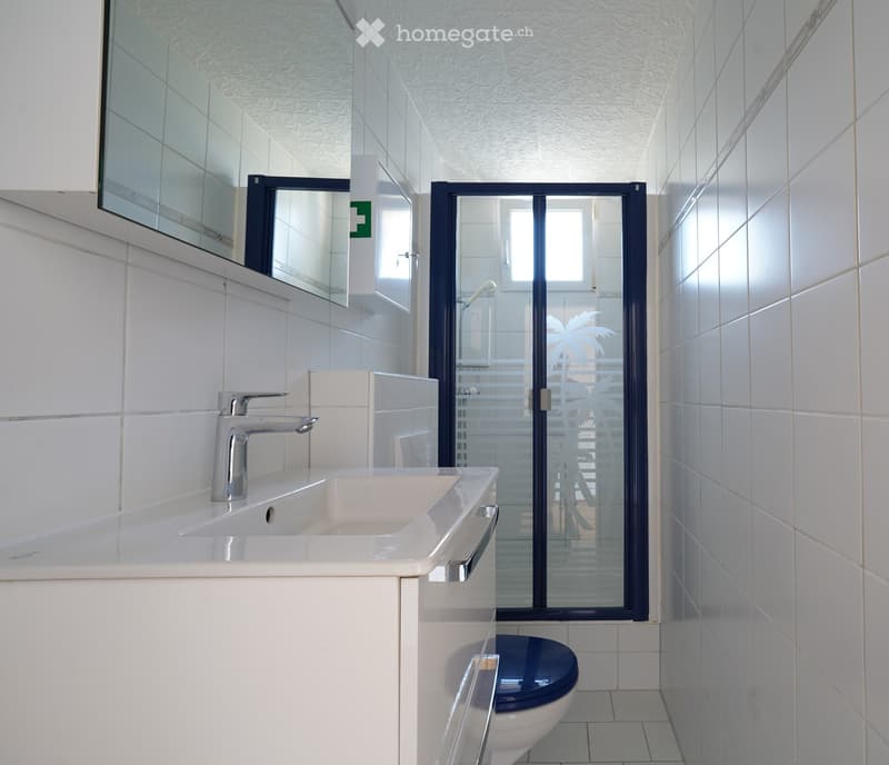 Modern bathroom with white tiles, a white sink with a chrome faucet, a large mirror, and a toilet with a dark blue seat. A glass shower enclosure is visible in the background.