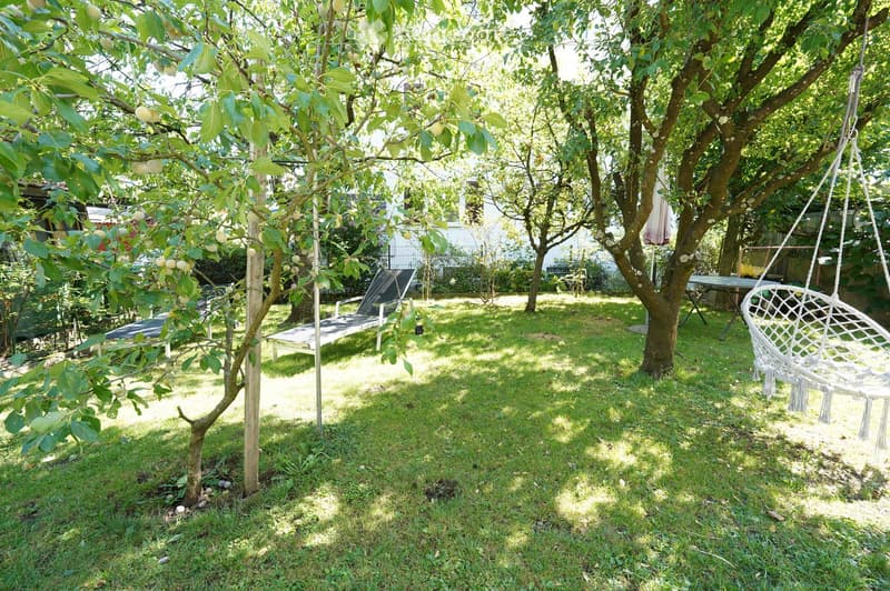 A sunny garden with a grassy lawn, fruit trees, a hanging egg chair, a lounge chair, and a small table with an umbrella.