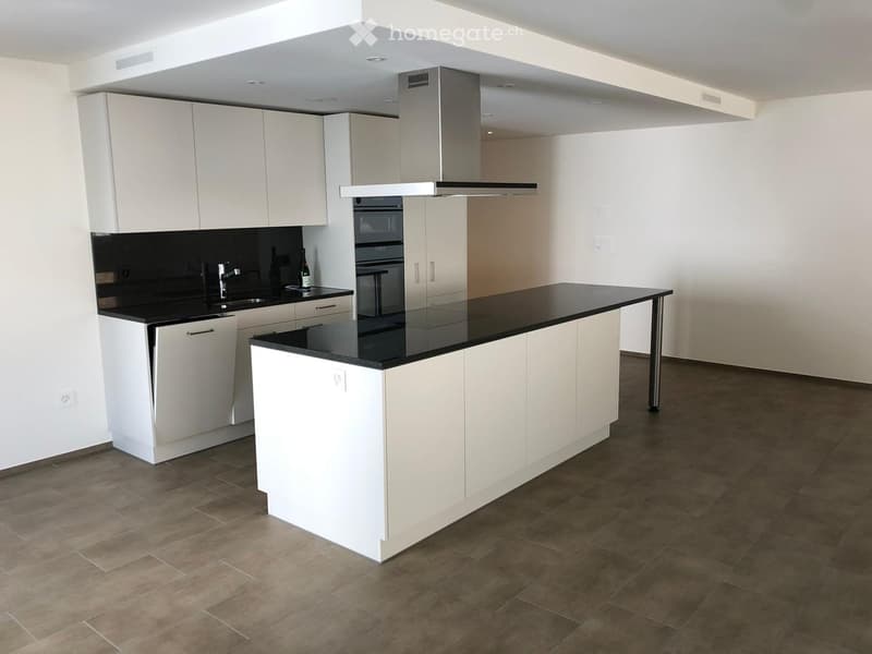 Modern kitchen with white cabinets, black countertops, stainless steel appliances, and a central island.
