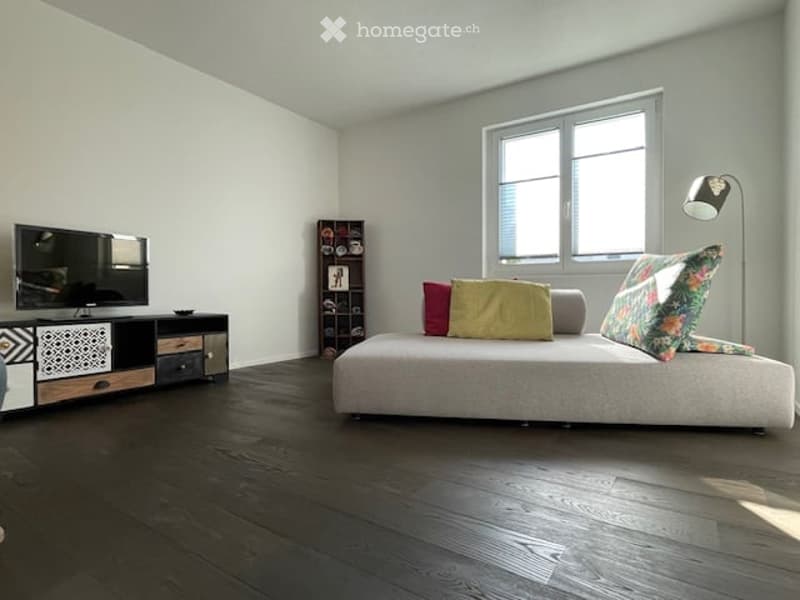 Modern, minimalist living room with a grey sofa, colorful pillows, a TV stand, a bookshelf, and a floor lamp. The room features dark wooden flooring and large windows allowing natural light.