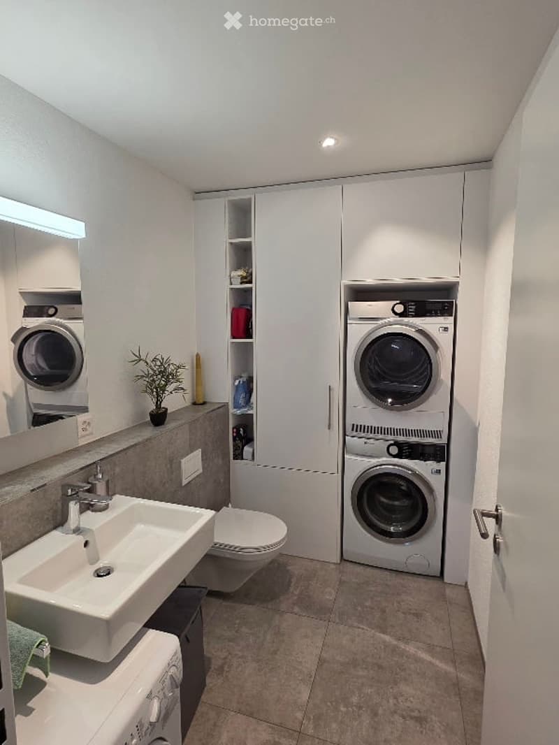Modern bathroom with a white sink, toilet, built-in washing machine, and mirrored cabinet. Features a small plant and storage shelves.