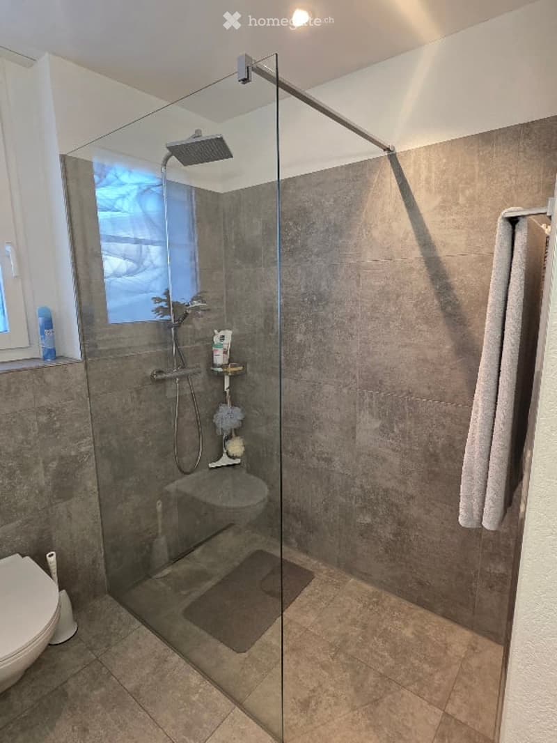 Modern bathroom with a glass-enclosed shower, a toilet, and a towel hanging on a rack. The shower features a handheld showerhead and a built-in shelf for toiletries.