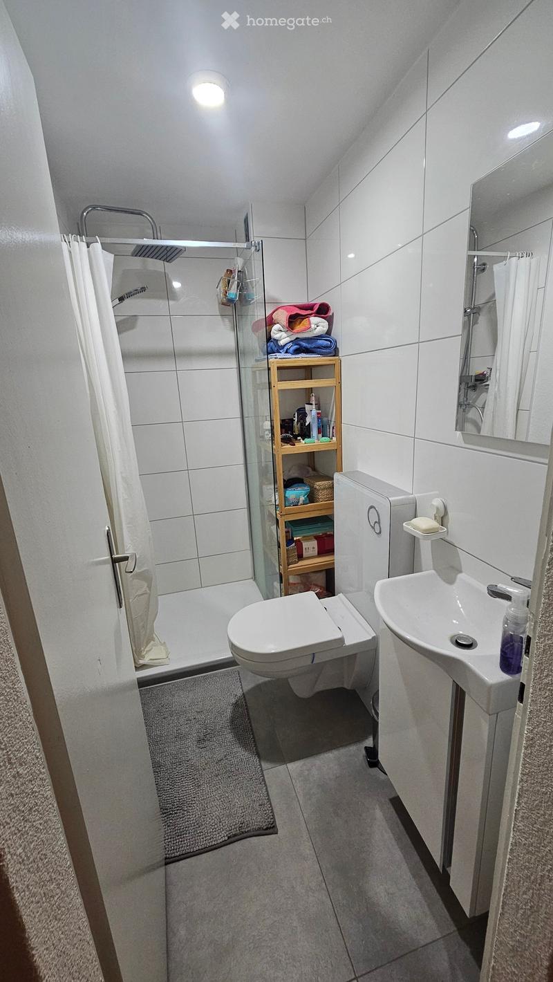 Modern bathroom with white tiles, a toilet, a sink, a mirror, a glass-enclosed shower, and a wooden shelf holding towels and toiletries.