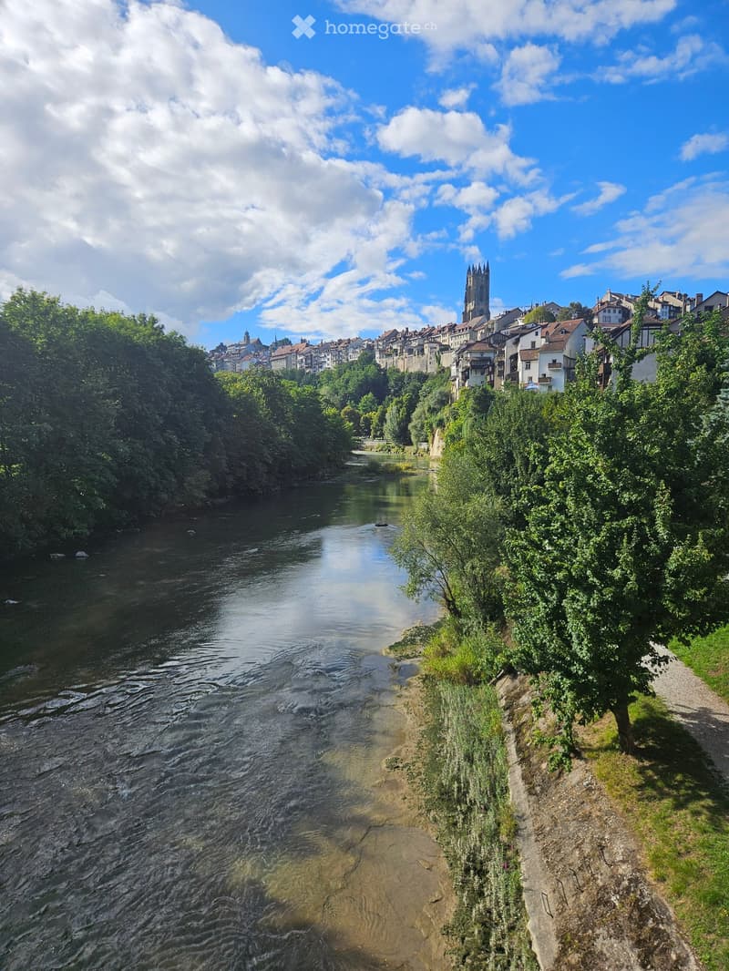 A scenic riverside view with a calm river, lush greenery on both banks, and a town with historic buildings and a tall church spire in the background under a partly cloudy sky.