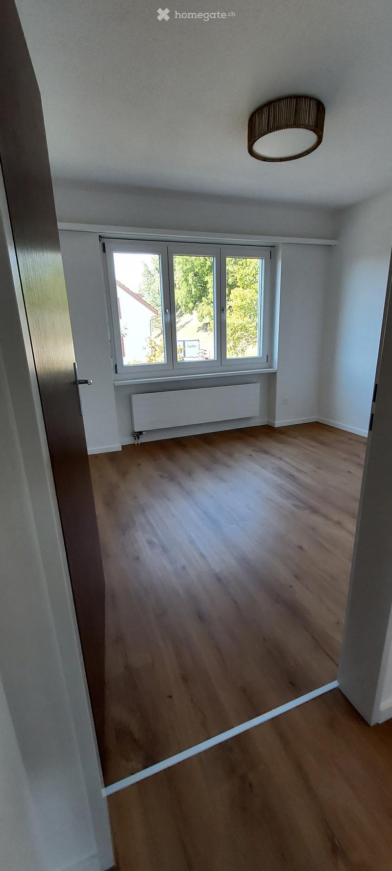 Empty room with wooden flooring, white walls, large window with white frame, radiator, and a ceiling light fixture.