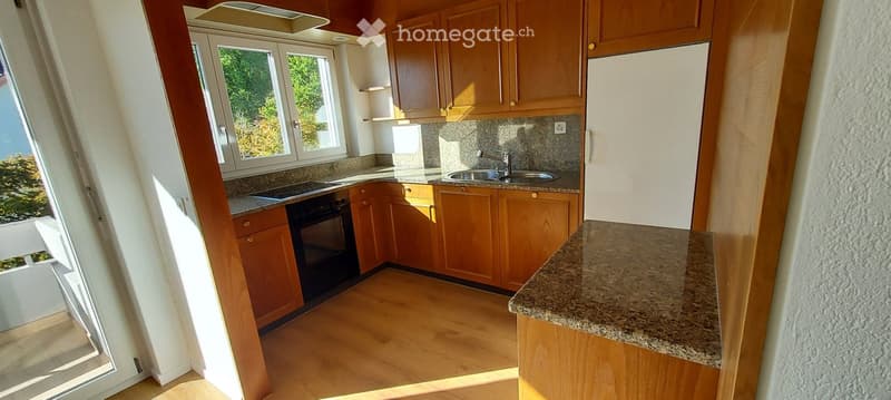 Modern kitchen with wooden cabinets, granite countertop, and stainless steel sink.