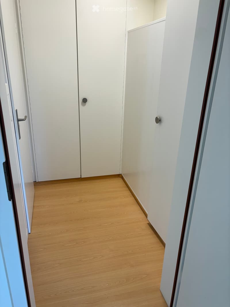 Empty hallway with light wooden flooring and white walls, featuring two closed white doors with silver handles.