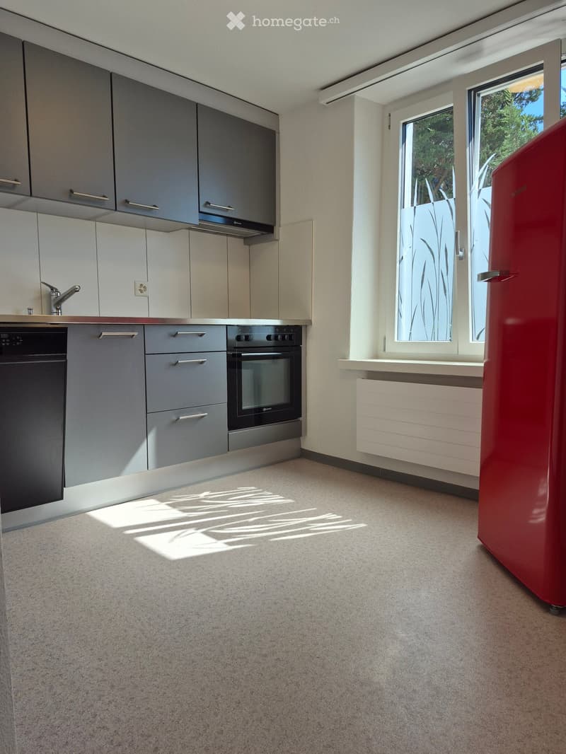 Modern kitchen with grey cabinets, stainless steel appliances, and a red refrigerator. Features a window with frosted glass and a radiator below it.
