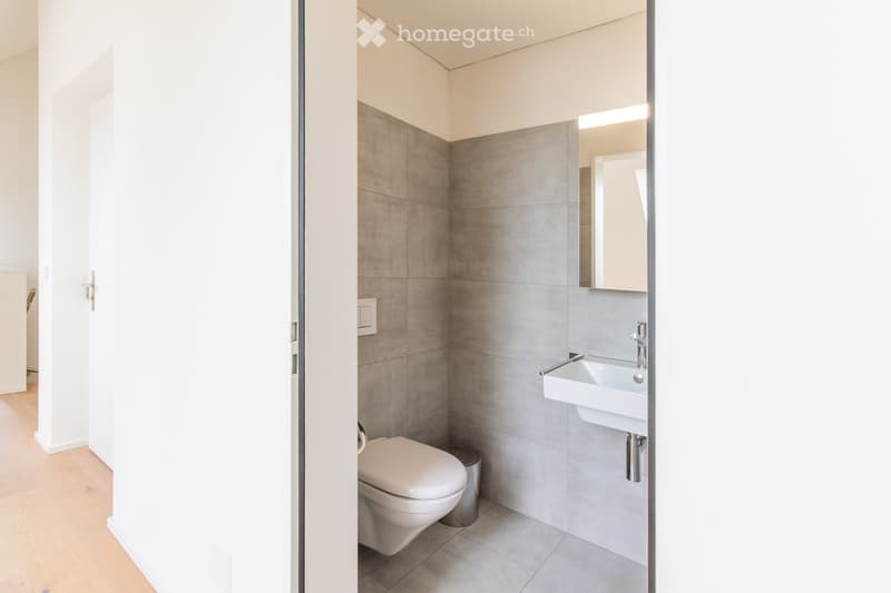Modern bathroom with grey tiled walls, white toilet, white sink, and a mirror above the sink. The floor is light-colored wood.