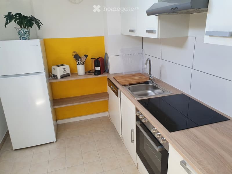 Modern kitchen with white cabinets, a stainless steel sink, an induction stove, and a refrigerator. The counter features a wooden cutting board, a toaster, and a dish rack. A potted plant is placed on the windowsill.