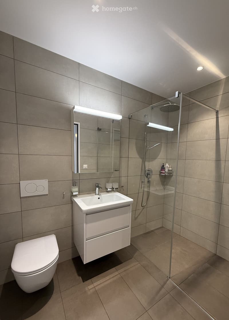 Modern bathroom with a white toilet, sink with a built-in cabinet, a large mirror with integrated lighting, and a glass-enclosed shower with a modern showerhead and handheld sprayer.