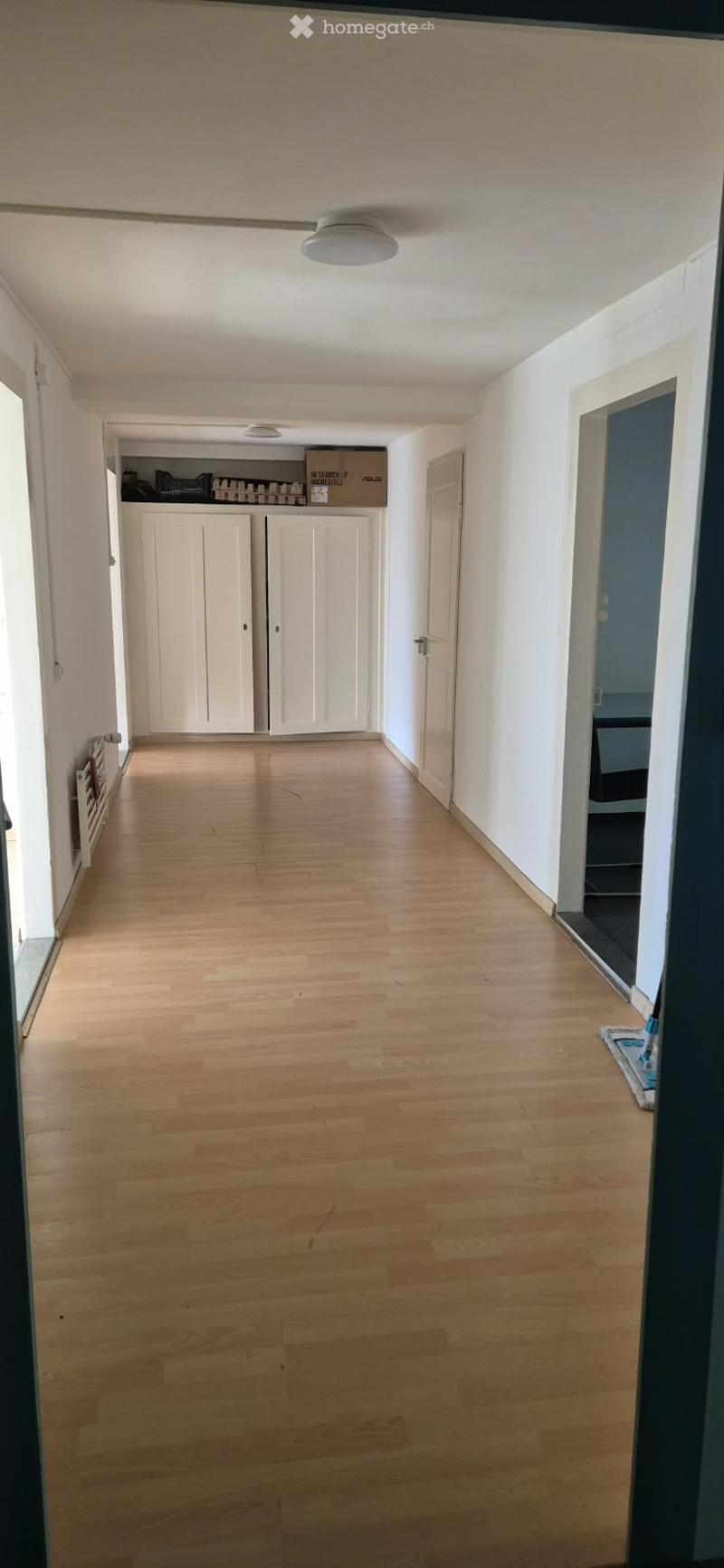Empty hallway with light wooden flooring, white walls, and white cabinetry at the end.
