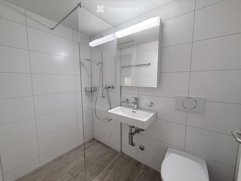 Modern bathroom with white tiles, a glass-enclosed shower, a white sink with a mirror, and a toilet.