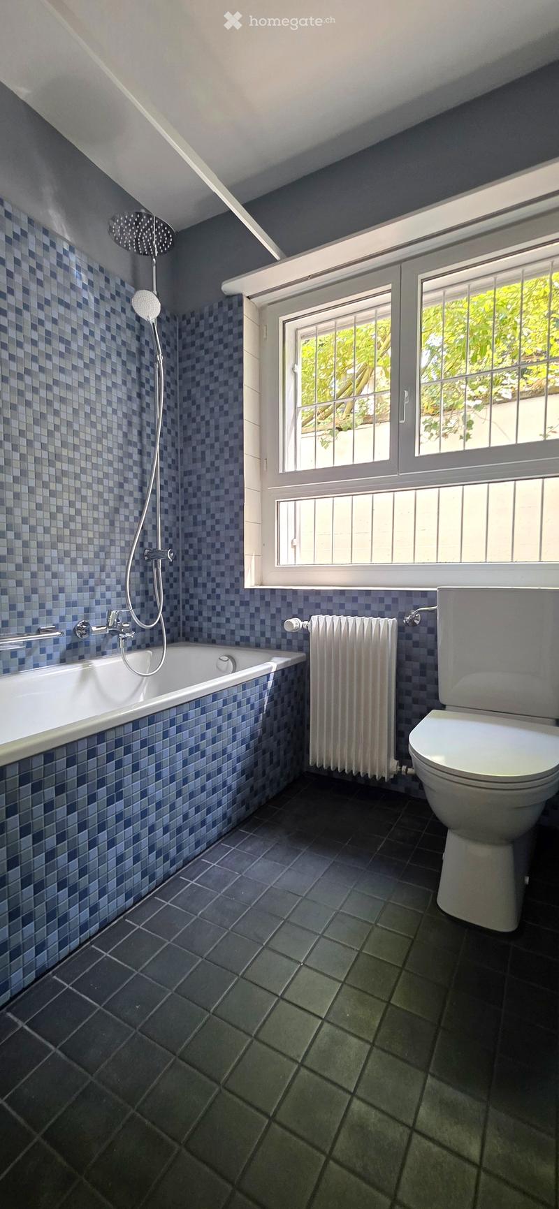 Bathroom with blue checkered tiles, bathtub, toilet, showerhead, and radiator. Windows provide natural light.