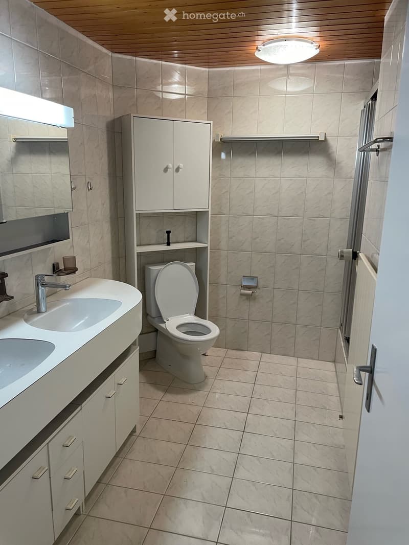 Modern bathroom with beige tiles, a double sink, toilet, and built-in cabinet. Features a large mirror and a round ceiling light.