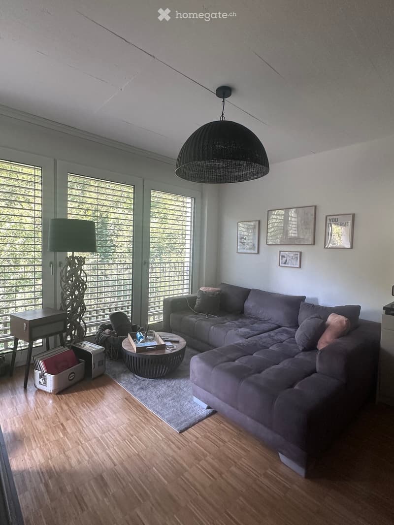 Modern living room with grey sectional sofa, coffee table, floor lamp, and large windows with blinds. Wooden flooring and contemporary decor.