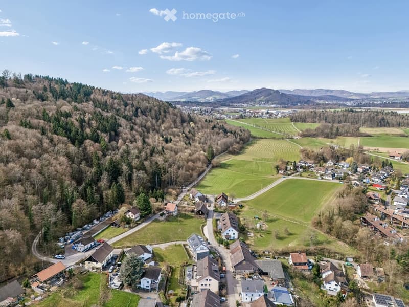 Aerial view of a village with houses, green fields, and a road