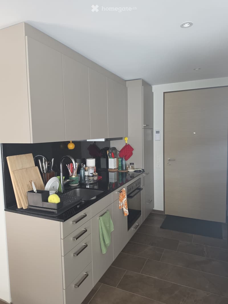 Modern kitchen with light grey cabinets, black countertop, stainless steel sink, and various kitchen utensils and appliances.
