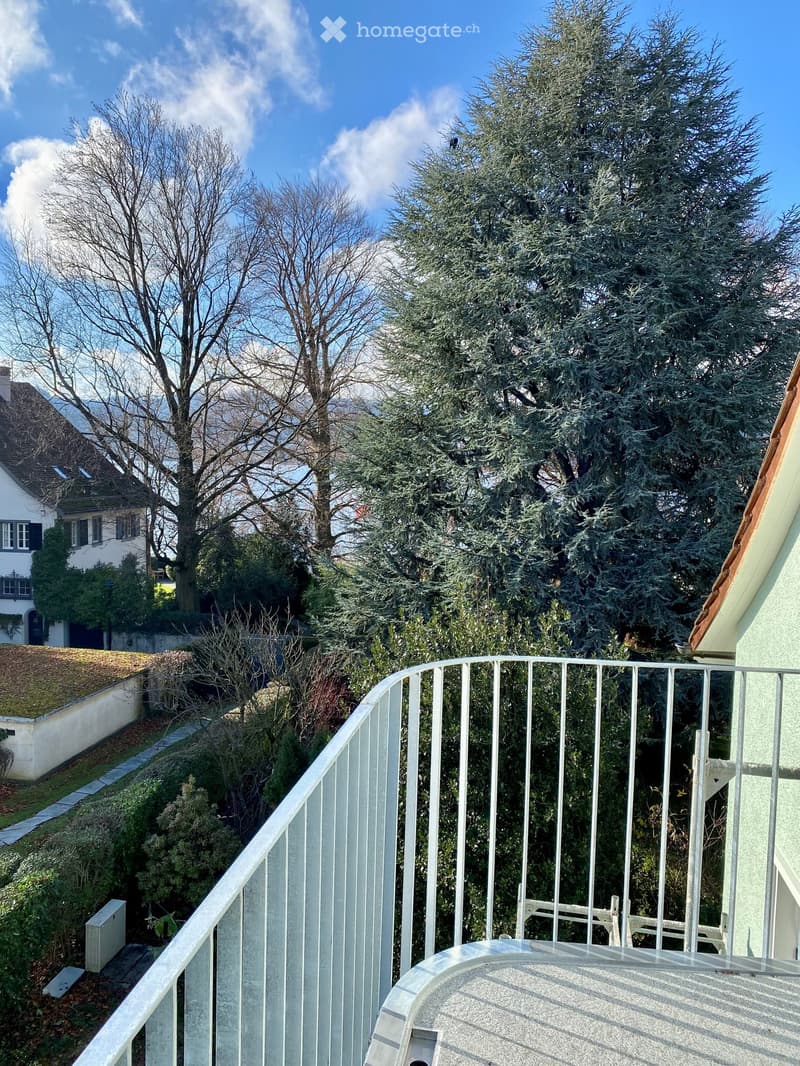 Terrace with a metal railing, trees in the background, mountains visible on the horizon