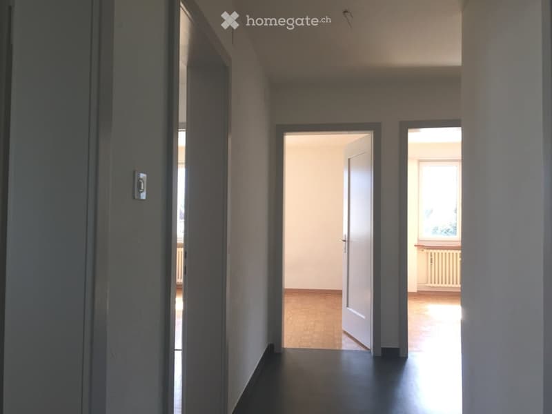 Empty hallway with wooden flooring, white walls, and several doors leading to other rooms.