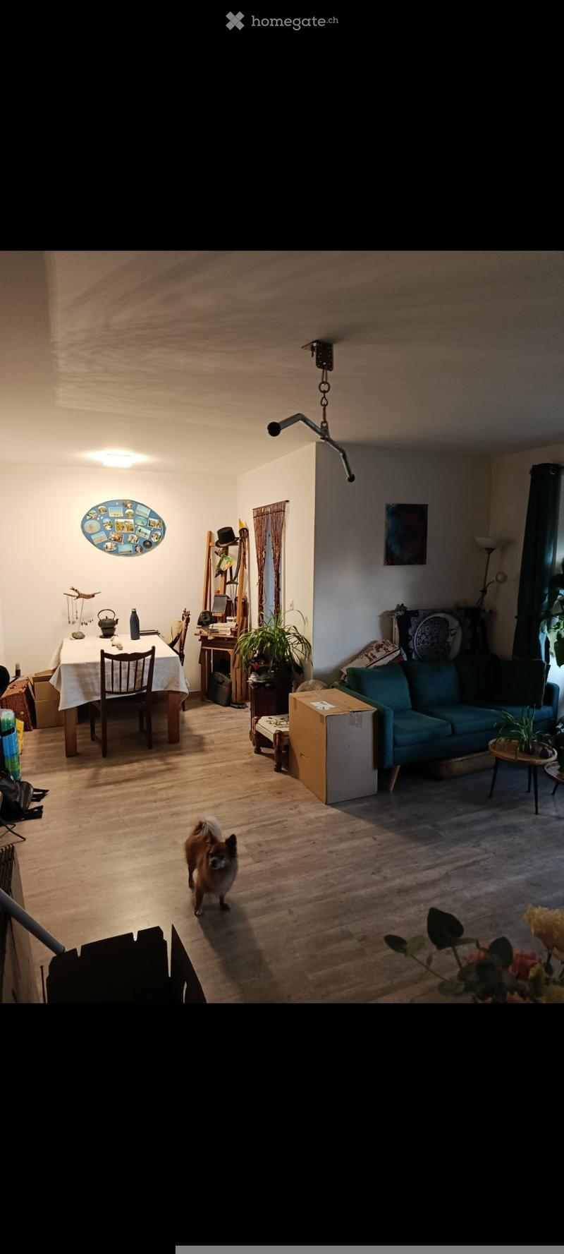 Living room with a sofa, coffee table, dining table, chairs, teapot, and plants. The room features wooden flooring and a hanging light fixture.