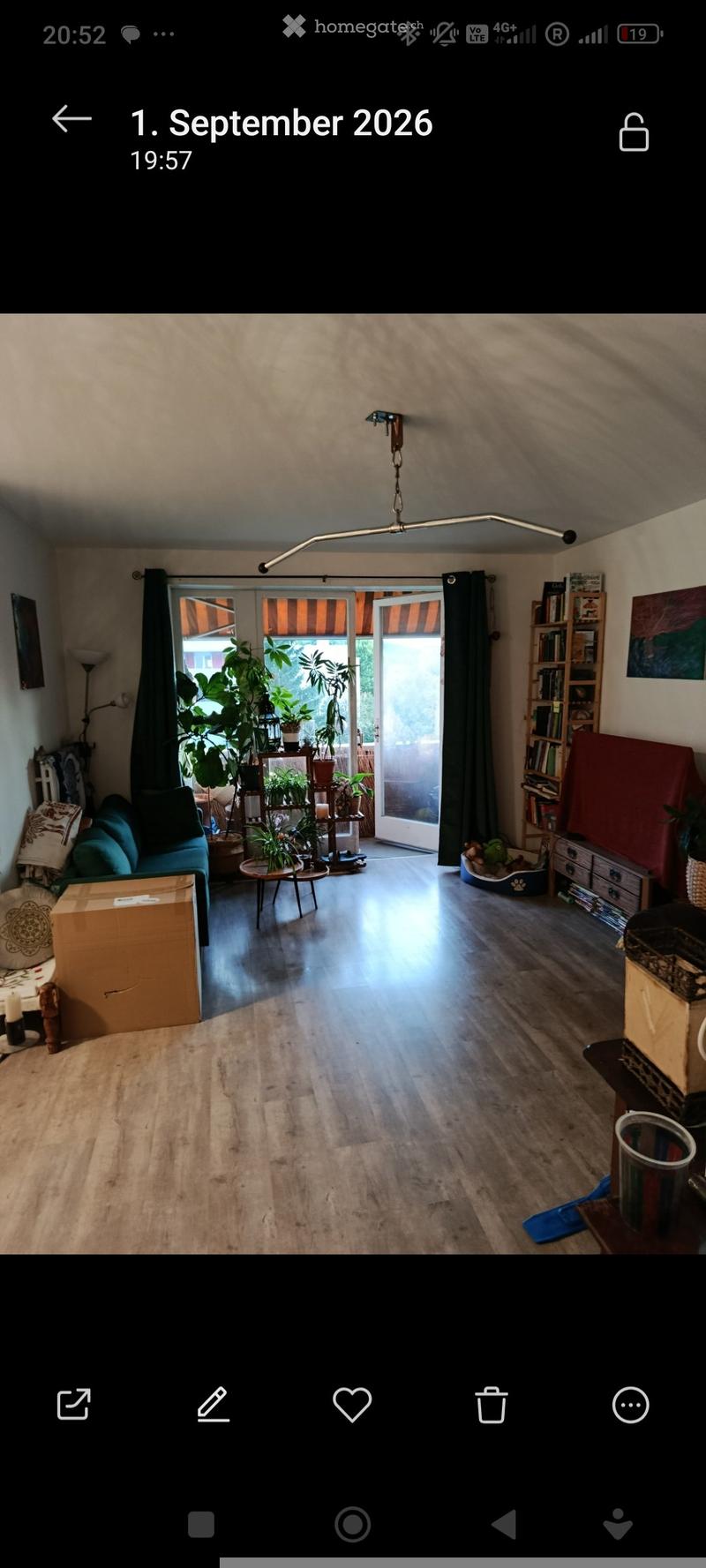 Living room with wooden flooring, large window with black curtains, sofa, coffee table, bookshelf, potted plants, and pet bed.