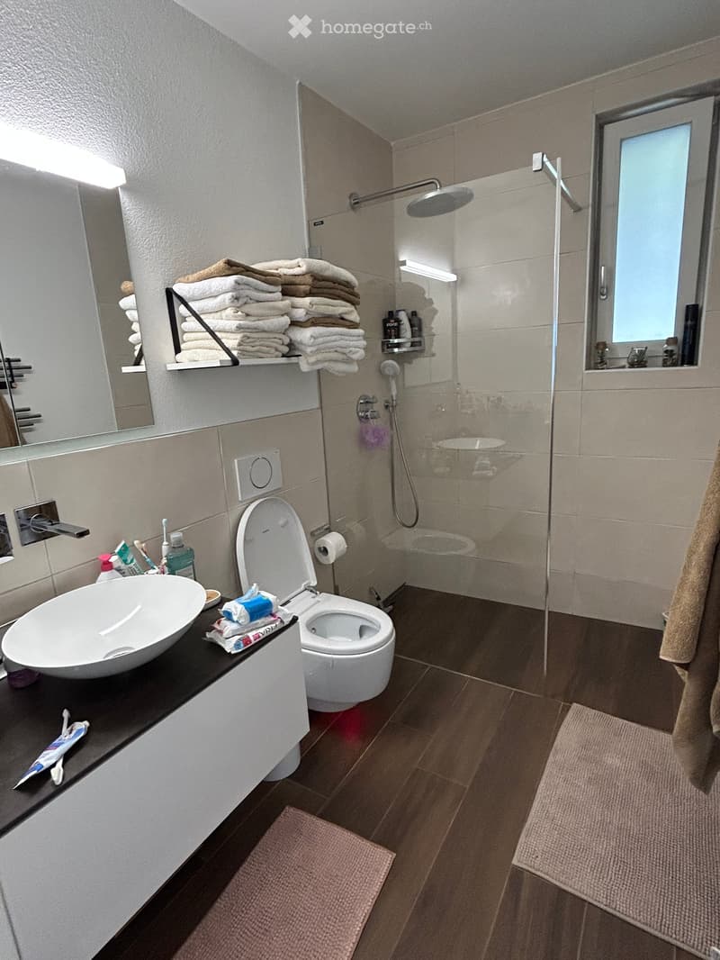 Modern bathroom with a sink, toilet, shower, and neatly stacked towels on a shelf. The room features a large mirror, a window, and a dark wooden floor with two rugs.