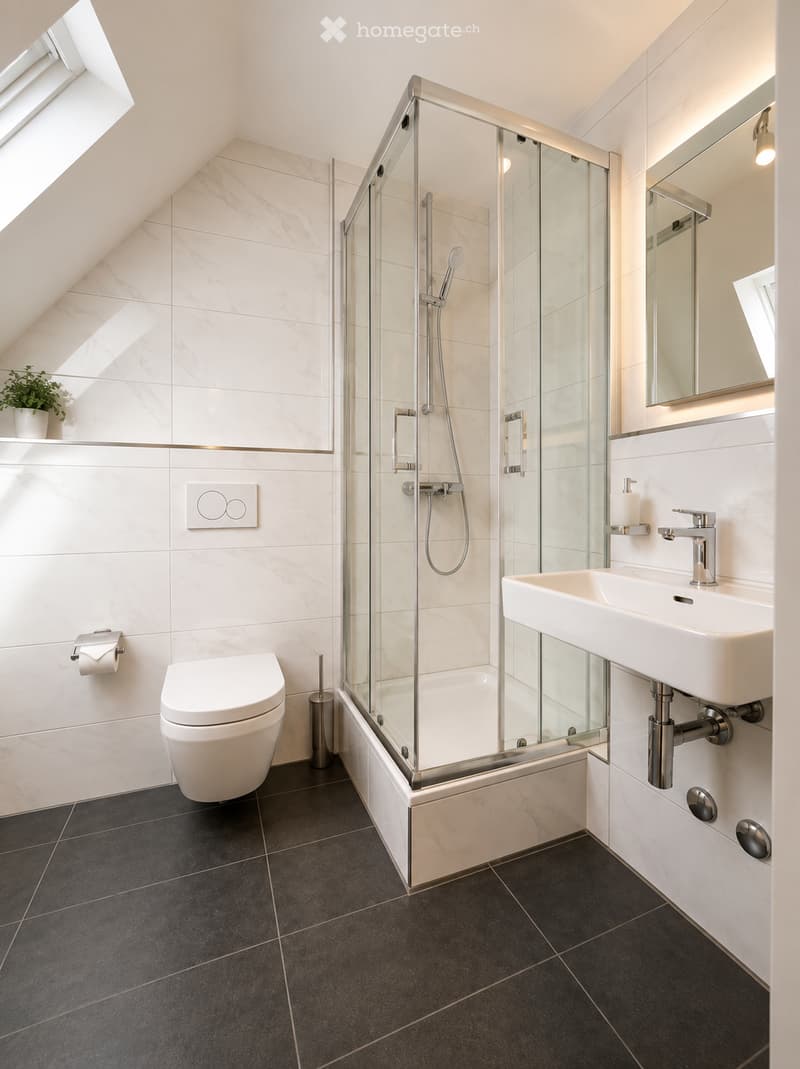 Modern bathroom with white marble tiles, black floor tiles, a glass-enclosed shower, a toilet, a sink with a mirror, and a small plant on a shelf.
