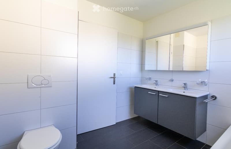 Modern bathroom with white tiles, a toilet, a double sink with mirrored cabinet, and grey storage cabinets.