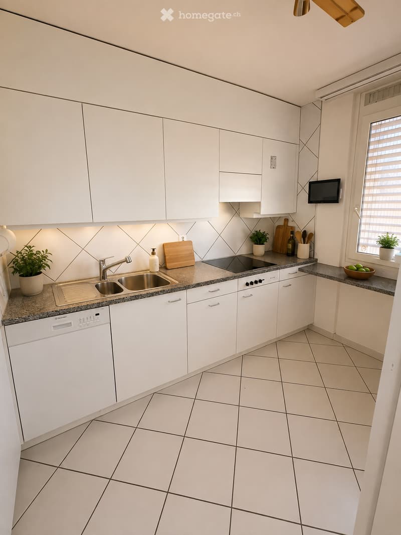 Modern kitchen with white cabinets, granite countertops, stainless steel sink, dishwasher, and small potted plants on the counters.