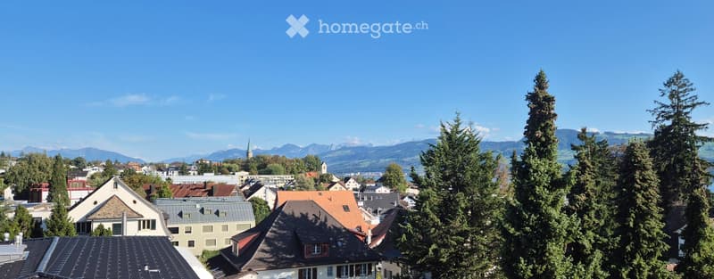 A panoramic view of a town with multiple houses, trees, and distant mountains under a clear blue sky.