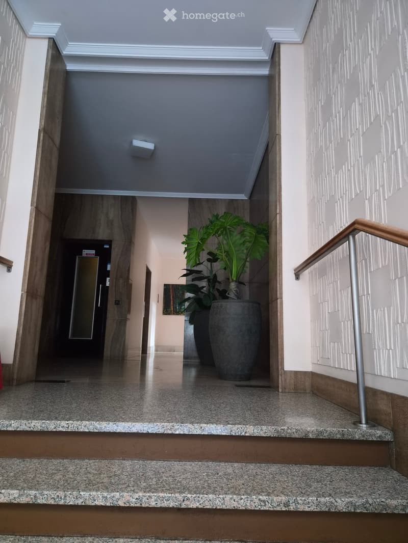 Staircase landing with polished granite steps, wooden handrail, and a large potted plant in the center.