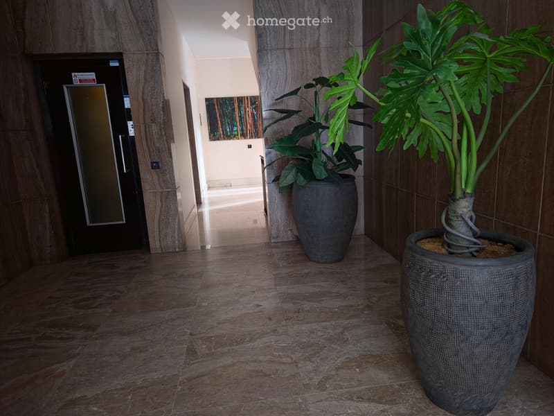 A modern hallway with polished stone flooring, large potted plants, and a dark wooden door with a sign. The walls are clad in dark wood panels, and there is a small artwork on the wall.
