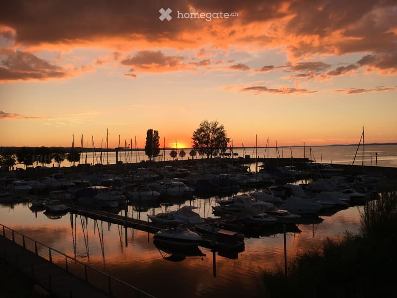 Marina at sunset with numerous boats docked, calm water reflecting the sky, and distant trees silhouetted against the horizon.