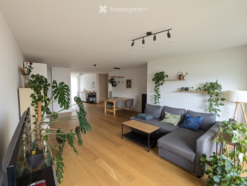 Modern living room with grey sectional sofa, wooden coffee table, dining area with table and chairs, large potted plants, and decorative shelves.