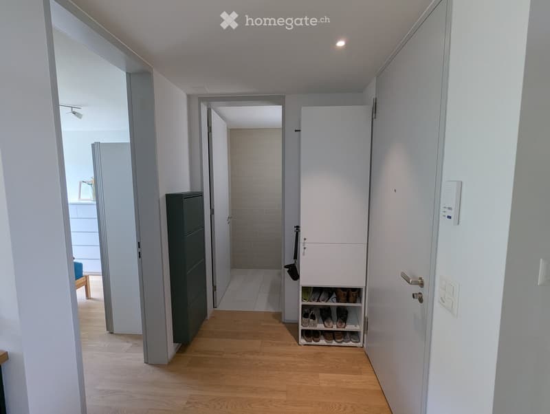 Modern hallway with wooden flooring, white walls, built-in shoe rack, and open doors leading to other rooms.