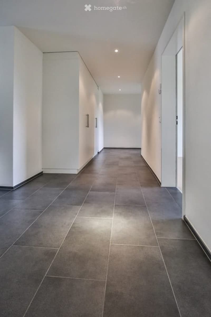 Modern hallway with dark tiled flooring, white walls, built-in storage units, and recessed lighting.