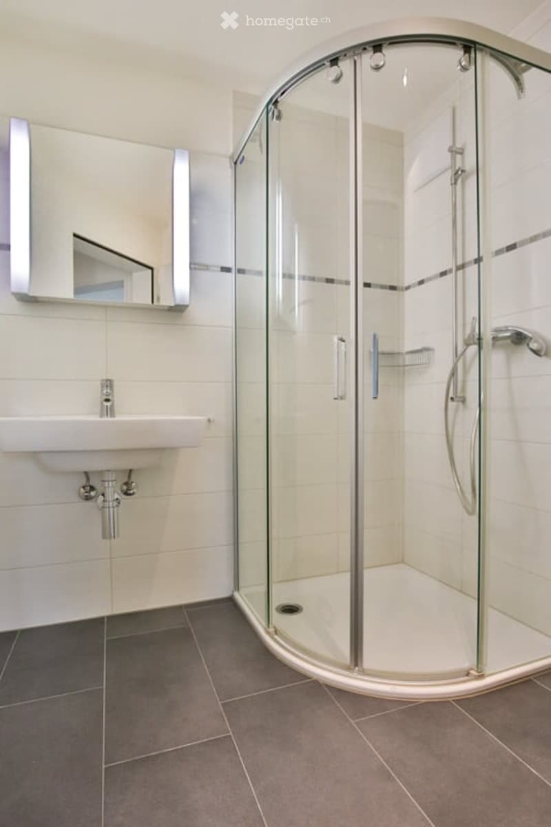 Modern bathroom with a white sink, a large mirror, and a glass-enclosed shower stall. The walls are tiled in white with grey accents, and the floor is covered in dark grey tiles.