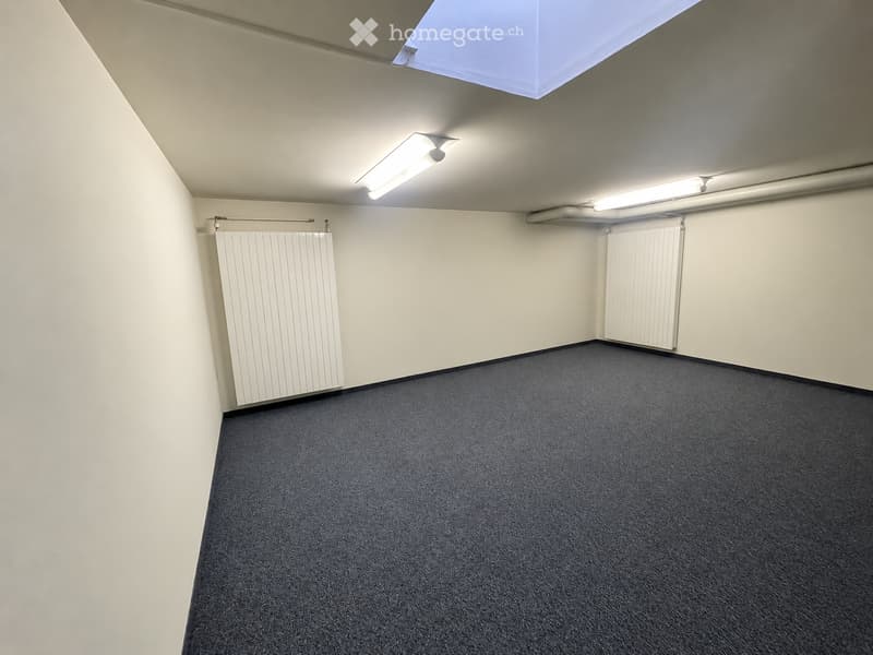 Empty room with grey carpeted floor, white walls, and two white radiators on either side. The ceiling has fluorescent lighting and a skylight.