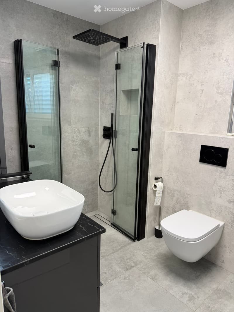 Modern bathroom with a white sink, toilet, and glass-enclosed shower with a rainfall showerhead. The walls and floor are covered in grey tiles, and the sink sits on a black countertop.